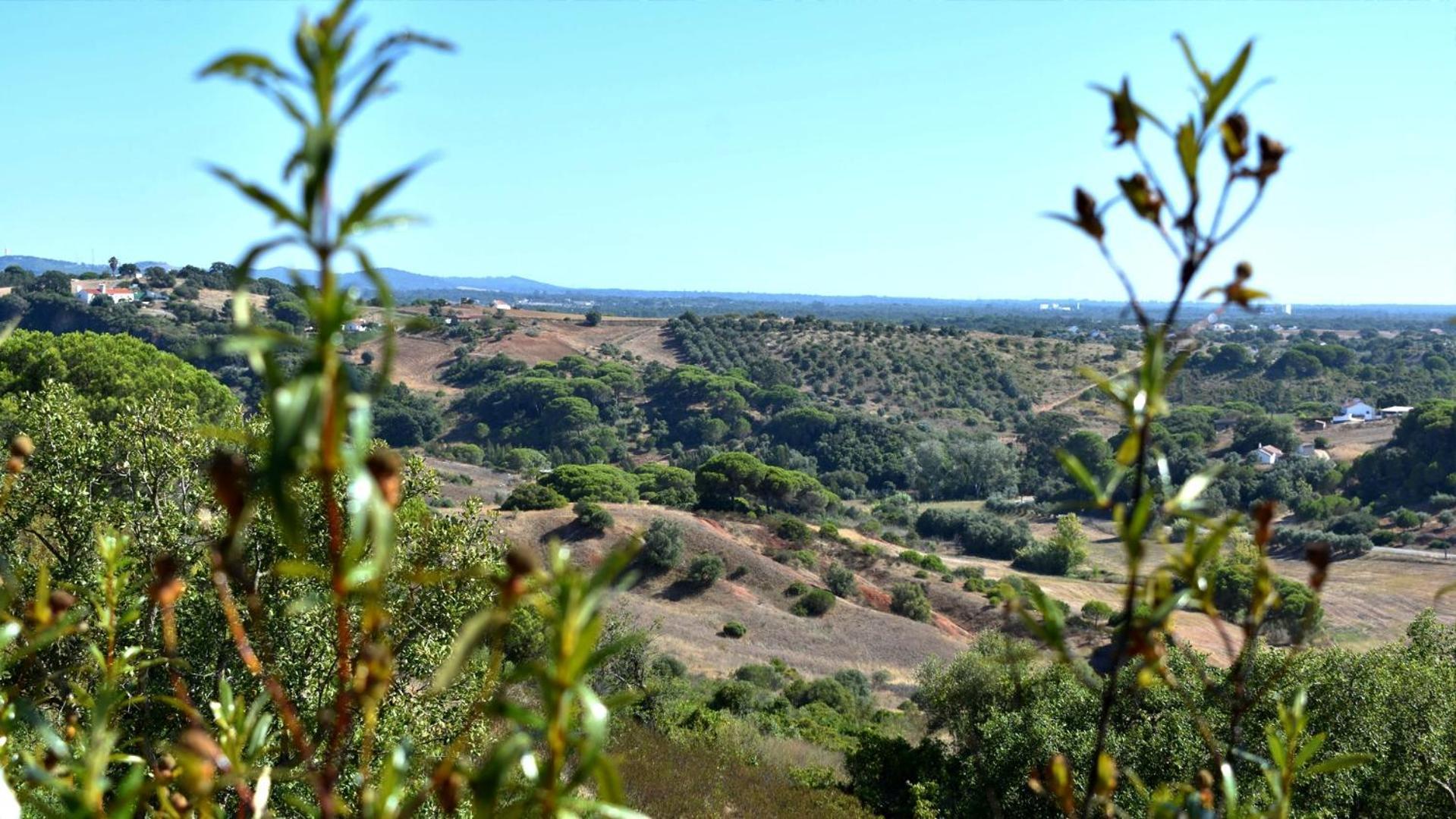 Santiago do Cacém Monte Sardinha旅馆 外观 照片