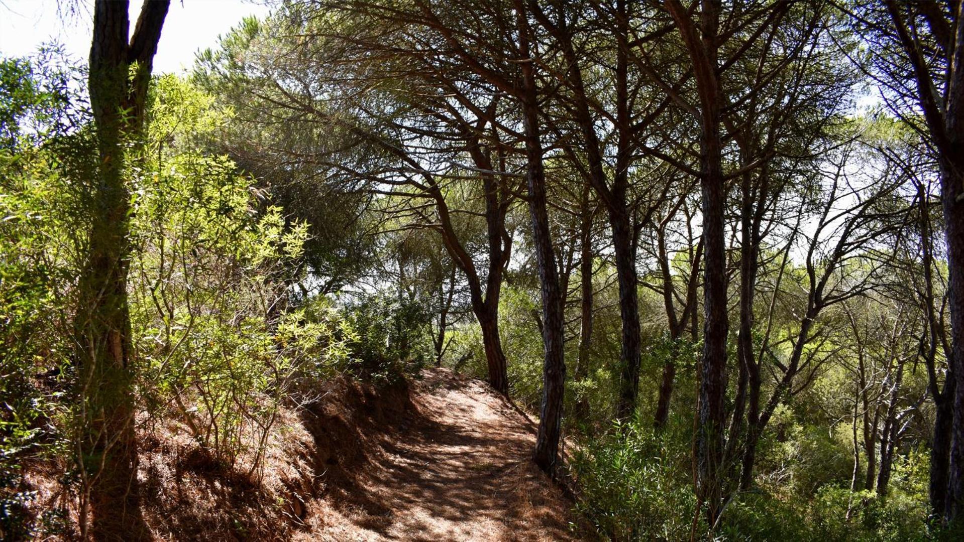 Santiago do Cacém Monte Sardinha旅馆 外观 照片